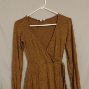 Velvet Torch Long Sleeve Brown Wrap Dress